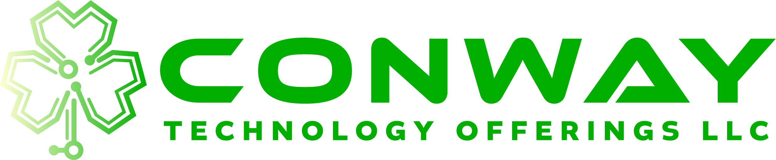 Conway Technology Offerings